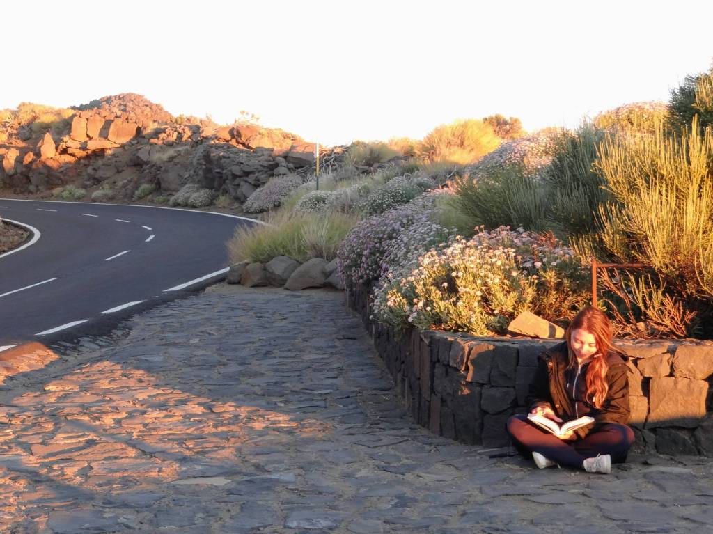 «Todo Está en el Estado Mental»: Un Poema Inspirador para Guiar tu&nbsp;Semana